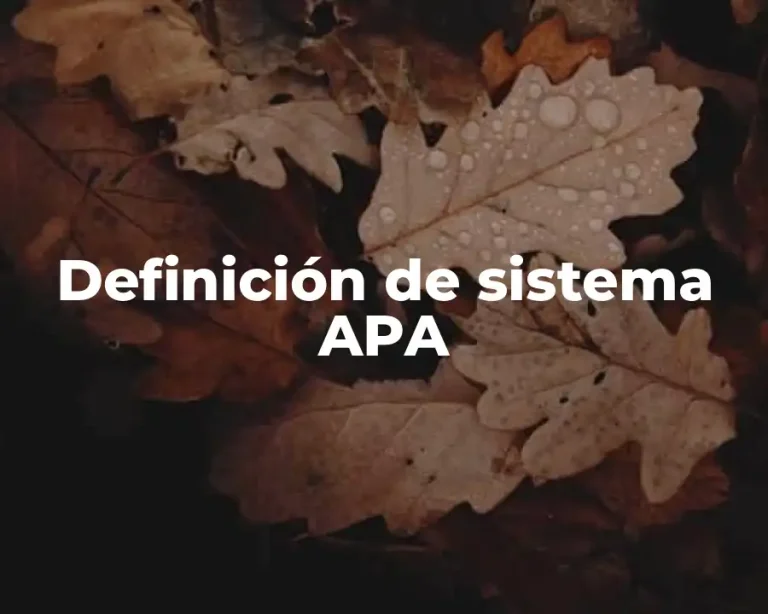 Definición de sistema APA