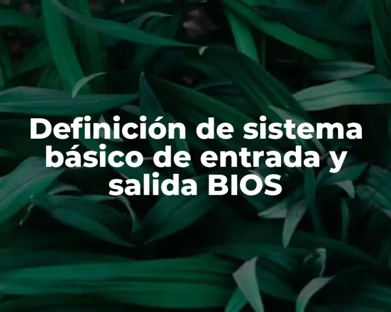 Definición de sistema básico de entrada y salida BIOS