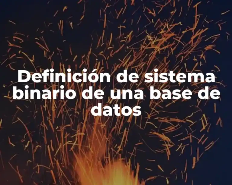 Definición de sistema binario de una base de datos
