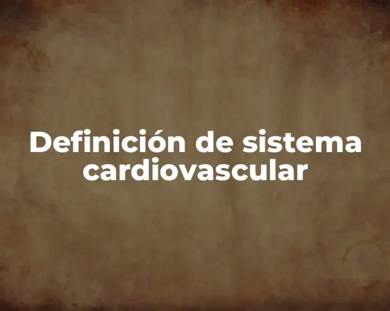 Definición de sistema cardiovascular