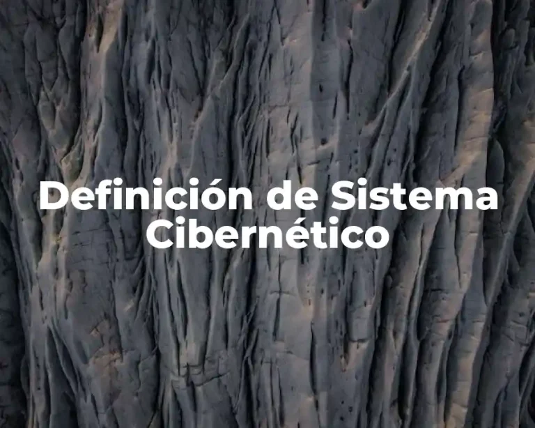 Definición de Sistema Cibernético