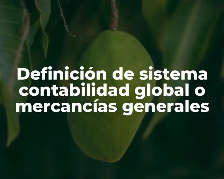 Definición de sistema contabilidad global o mercancías generales