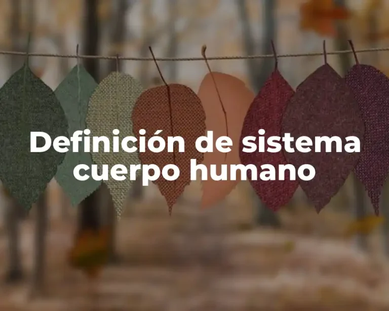 Definición de sistema cuerpo humano