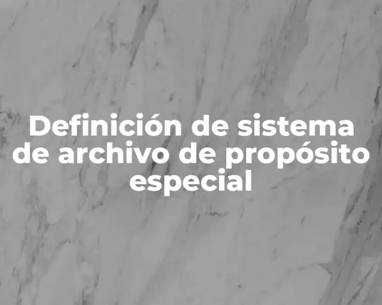Definición de sistema de archivo de propósito especial