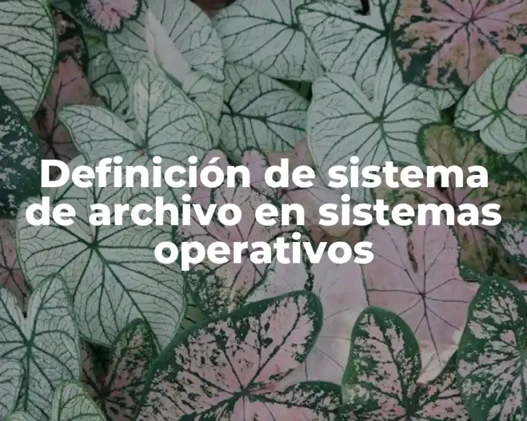 Definición de sistema de archivo en sistemas operativos