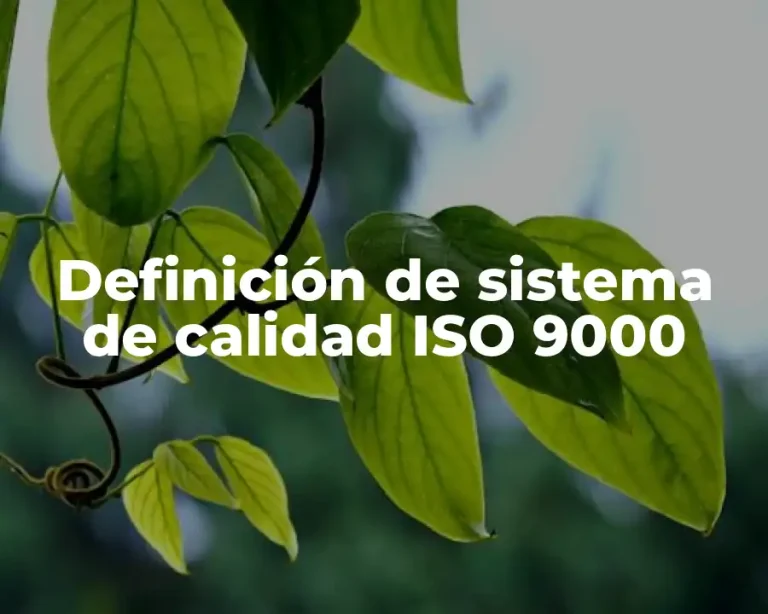 Definición de sistema de calidad ISO 9000