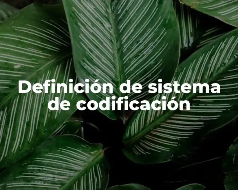 Definición de sistema de codificación