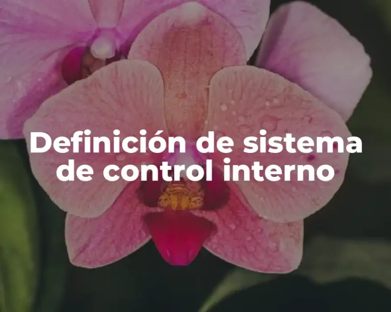 Definición de sistema de control interno