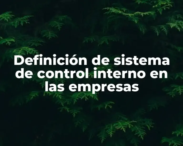 Definición de sistema de control interno en las empresas