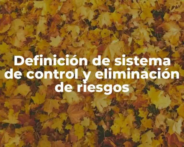 Definición de sistema de control y eliminación de riesgos