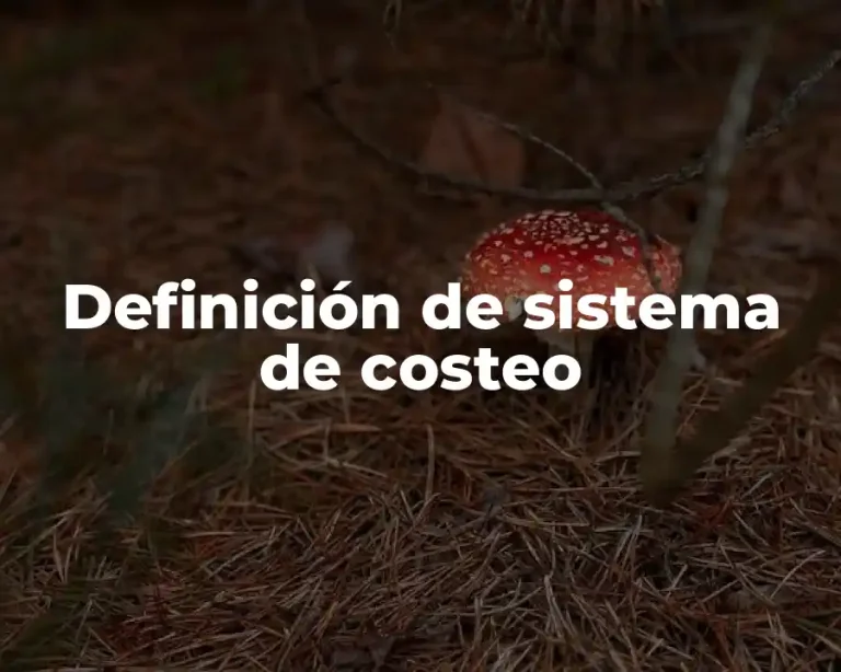 Definición de sistema de costeo