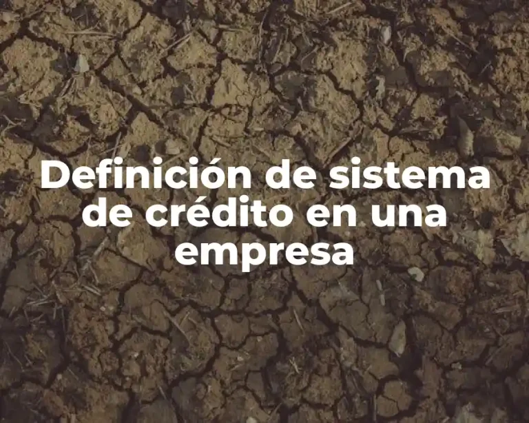 Definición de sistema de crédito en una empresa