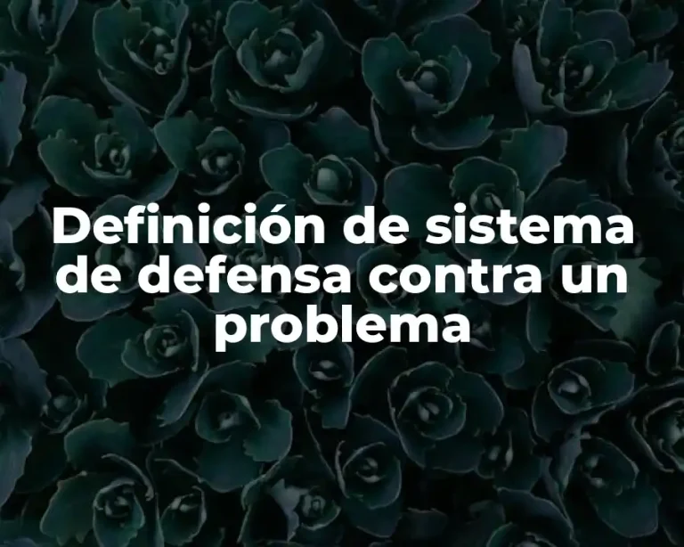 Definición de sistema de defensa contra un problema
