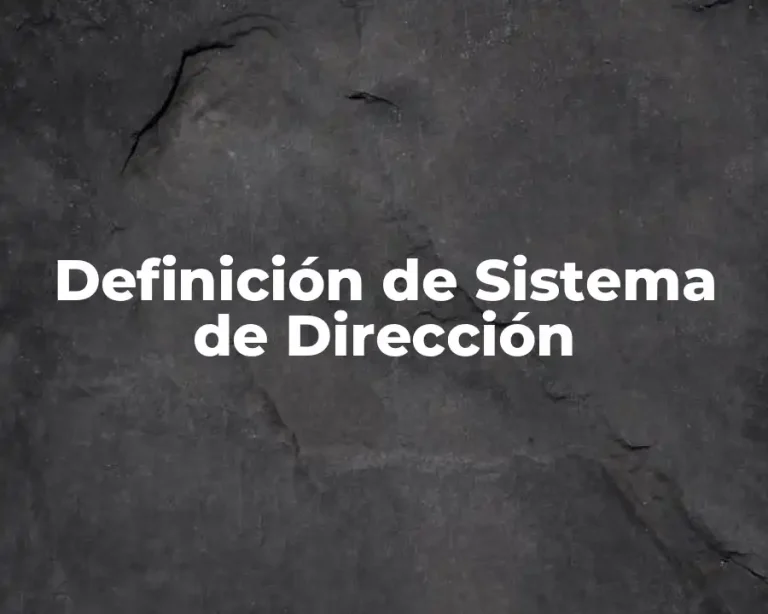 Definición de Sistema de Dirección