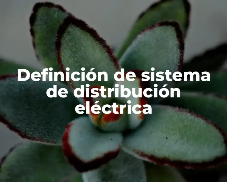 Definición de sistema de distribución eléctrica