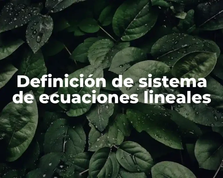 Definición de sistema de ecuaciones lineales