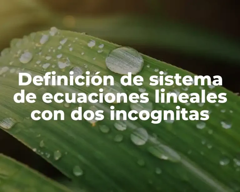 Definición de sistema de ecuaciones lineales con dos incognitas