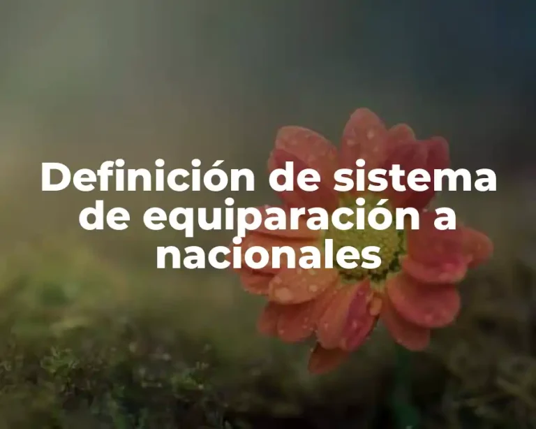 Definición de sistema de equiparación a nacionales