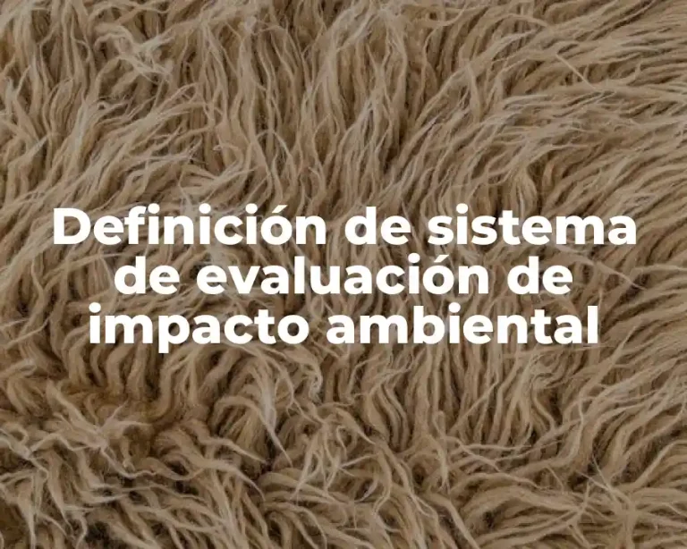Definición de sistema de evaluación de impacto ambiental