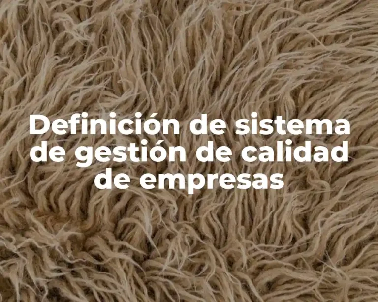 Definición de sistema de gestión de calidad de empresas