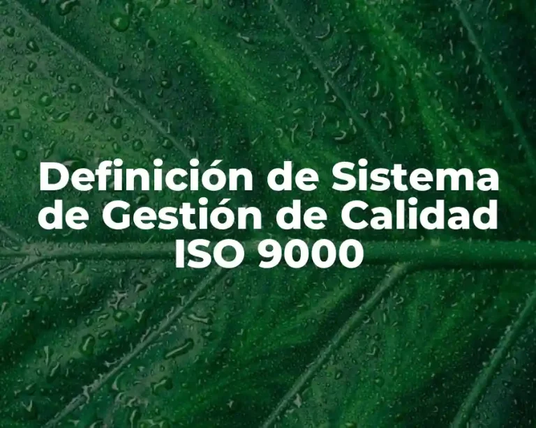 Definición de Sistema de Gestión de Calidad ISO 9000