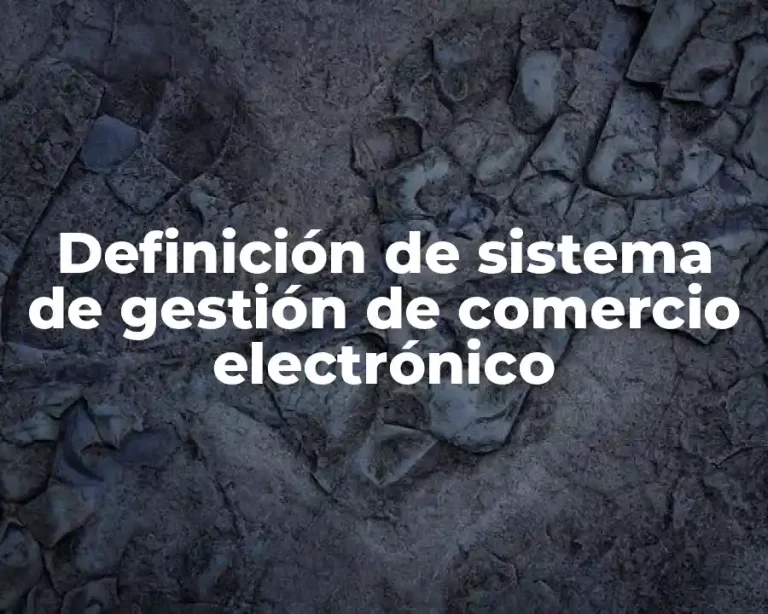 Definición de sistema de gestión de comercio electrónico