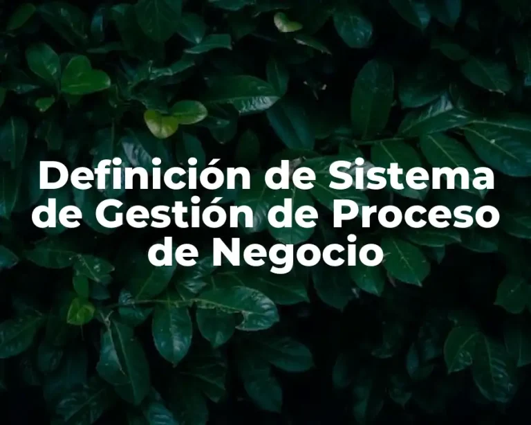 Definición de Sistema de Gestión de Proceso de Negocio