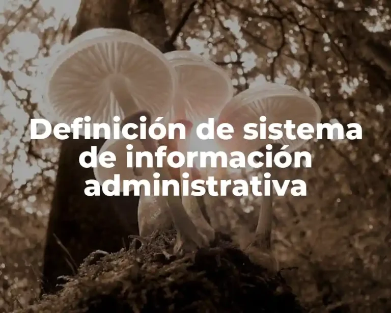 Definición de sistema de información administrativa