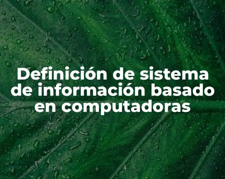Definición de sistema de información basado en computadoras