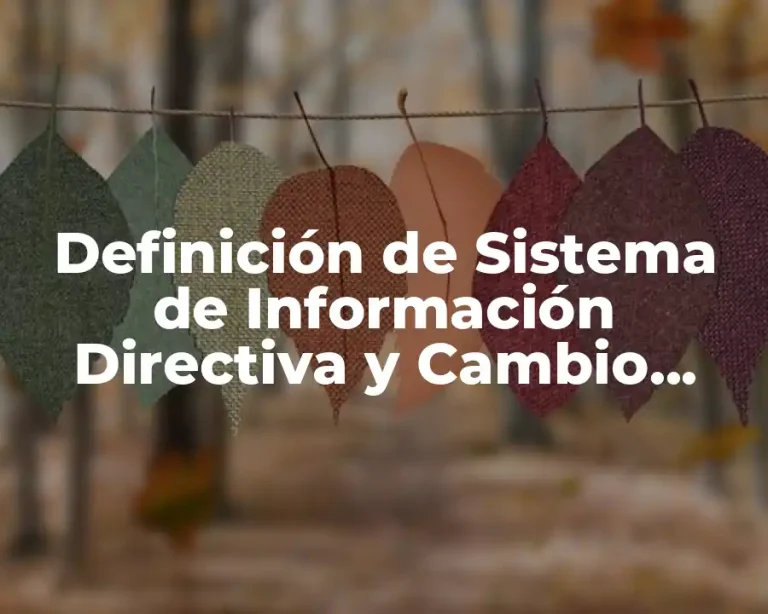 Definición de Sistema de Información Directiva y Cambio Estratégico