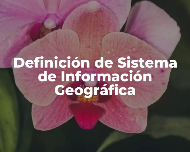 Definición de Sistema de Información Geográfica