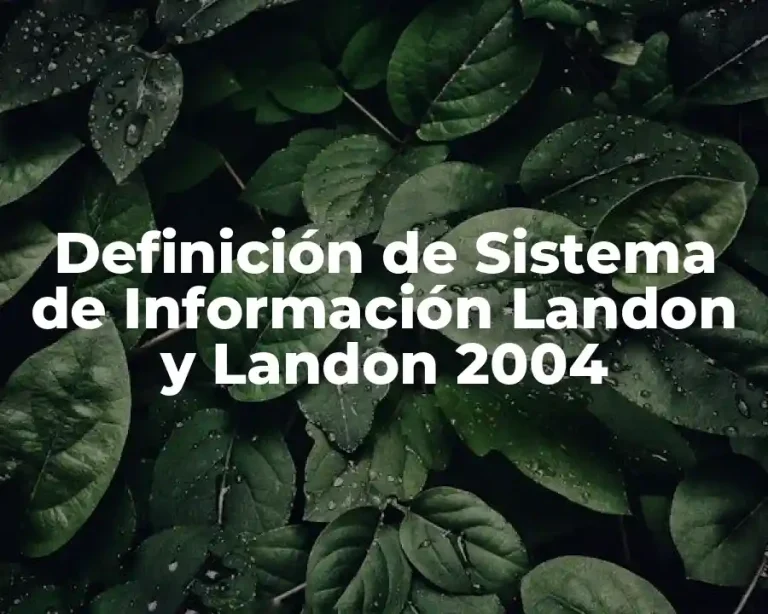Definición de Sistema de Información Landon y Landon 2004