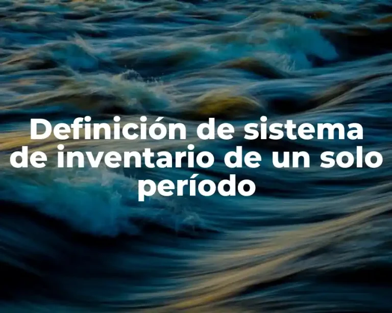 Definición de sistema de inventario de un solo período