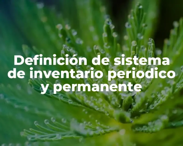Definición de sistema de inventario periodico y permanente