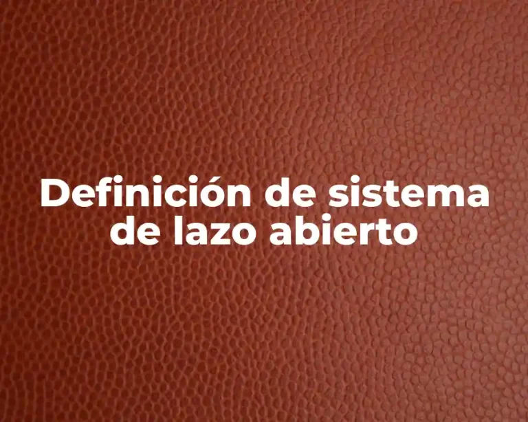 Definición de sistema de lazo abierto
