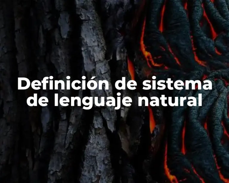 Definición de sistema de lenguaje natural