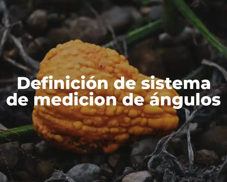 Definición de sistema de medicion de ángulos