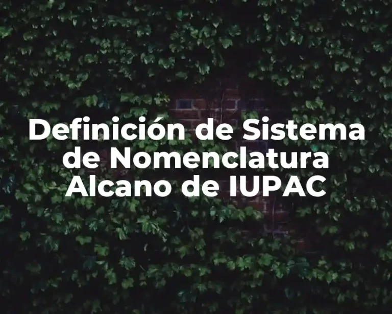Definición de Sistema de Nomenclatura Alcano de IUPAC