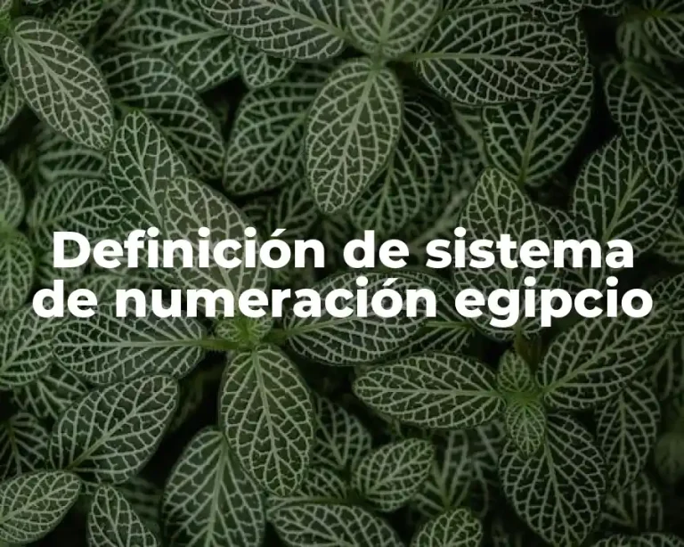Definición de sistema de numeración egipcio