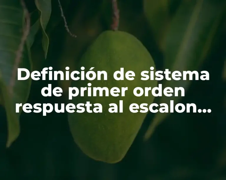 Definición de sistema de primer orden respuesta al escalon unitario