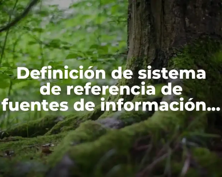 Definición de sistema de referencia de fuentes de información bibliográfica