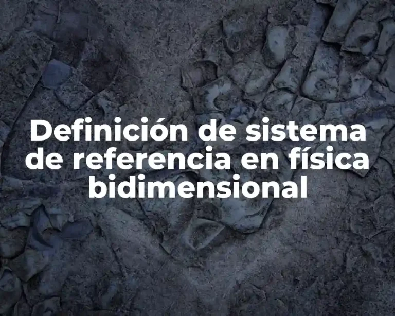 Definición de sistema de referencia en física bidimensional