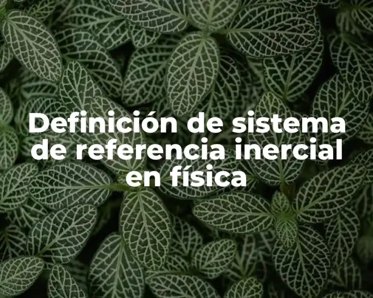 Definición de sistema de referencia inercial en física