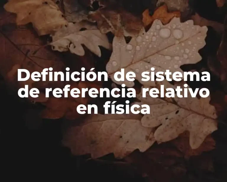 Definición de sistema de referencia relativo en física