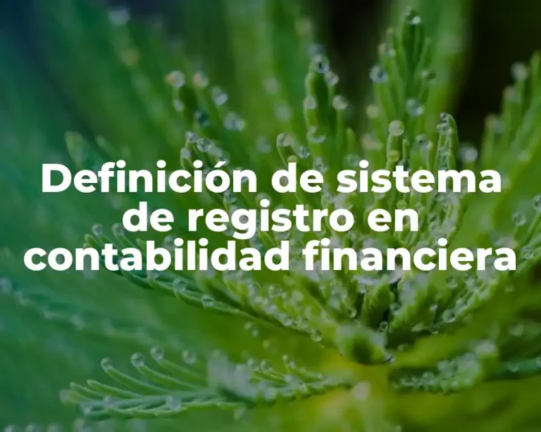 Definición de sistema de registro en contabilidad financiera