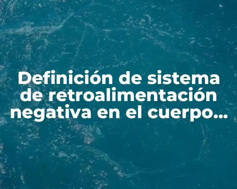 Definición de sistema de retroalimentación negativa en el cuerpo humano