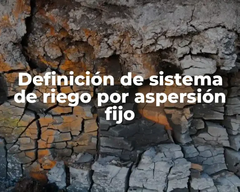 Definición de sistema de riego por aspersión fijo