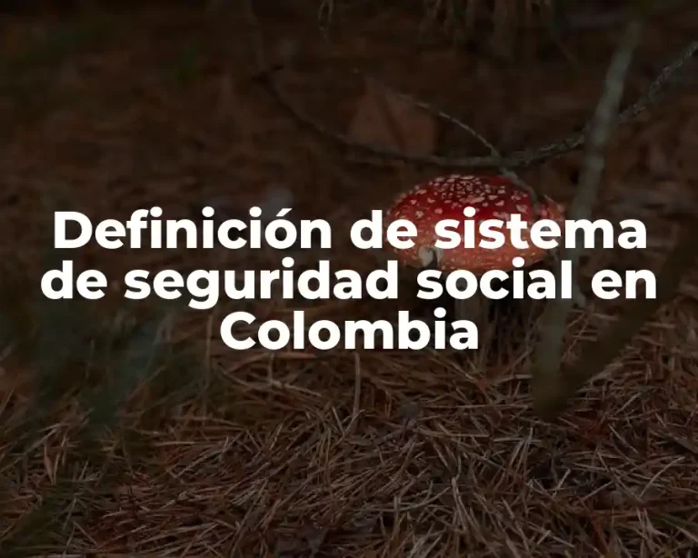 Definición de sistema de seguridad social en Colombia