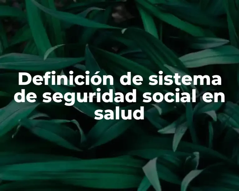 Definición de sistema de seguridad social en salud
