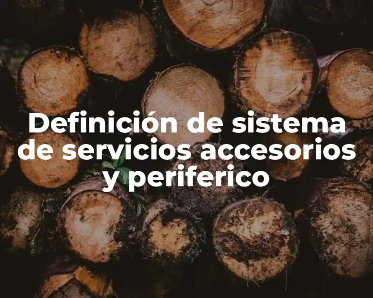 Definición de sistema de servicios accesorios y periferico